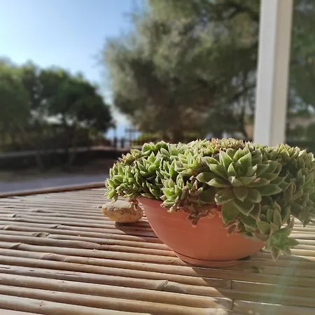 Holiday home Casa Olivastra Dorgali