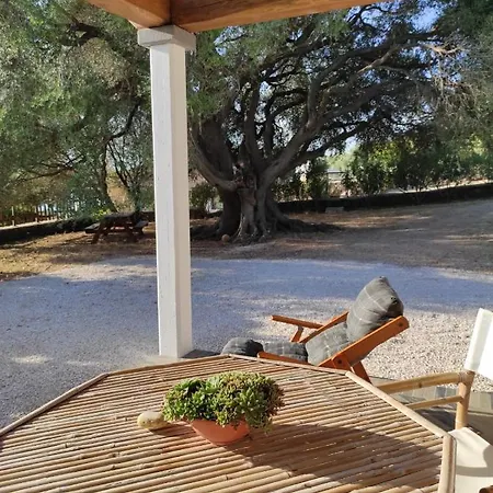 Casa Olivastra Holiday home